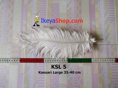 KSL 5  large2